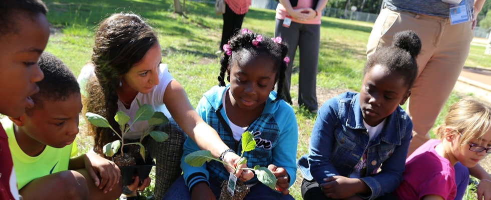 Get Involved in a Community Garden