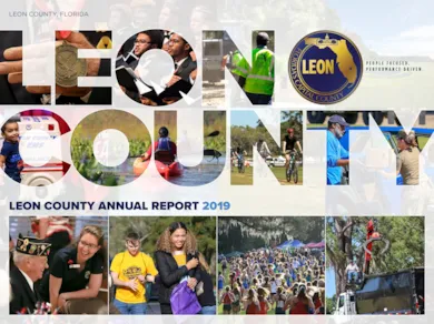 2019 Annual Report Annual Budget graphic