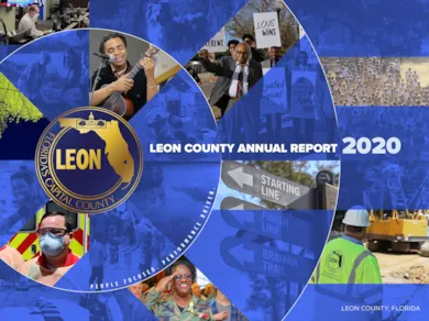 2020 Annual Report Annual Budget graphic