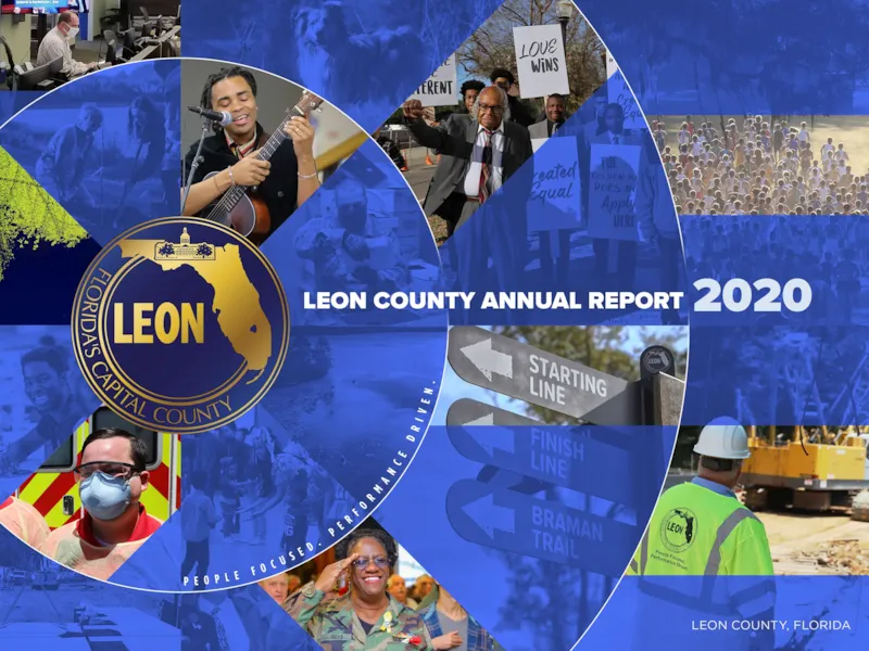 2020 Annual Report Annual Budget graphic