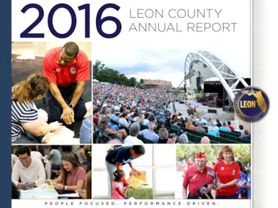 2016 Annual Report Annual Budget graphic