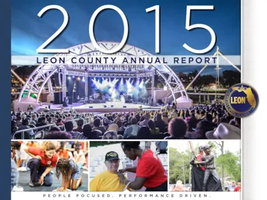 2015 Annual Report Annual Budget graphic