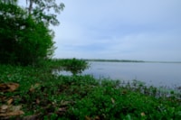 Van Brunt Landing lake view