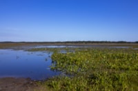 Miller Landing water view