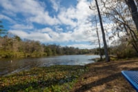 Elk Horn water view