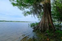 Van Brunt landing lake view