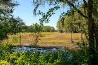 Lake Munson Boat Landing
