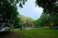 Van Brunt Landing picnic area