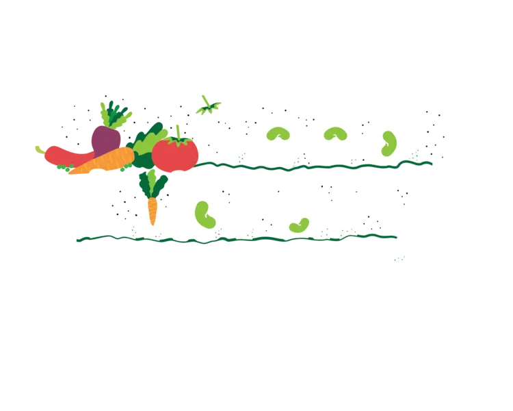 Fall Seed Library Kickoff