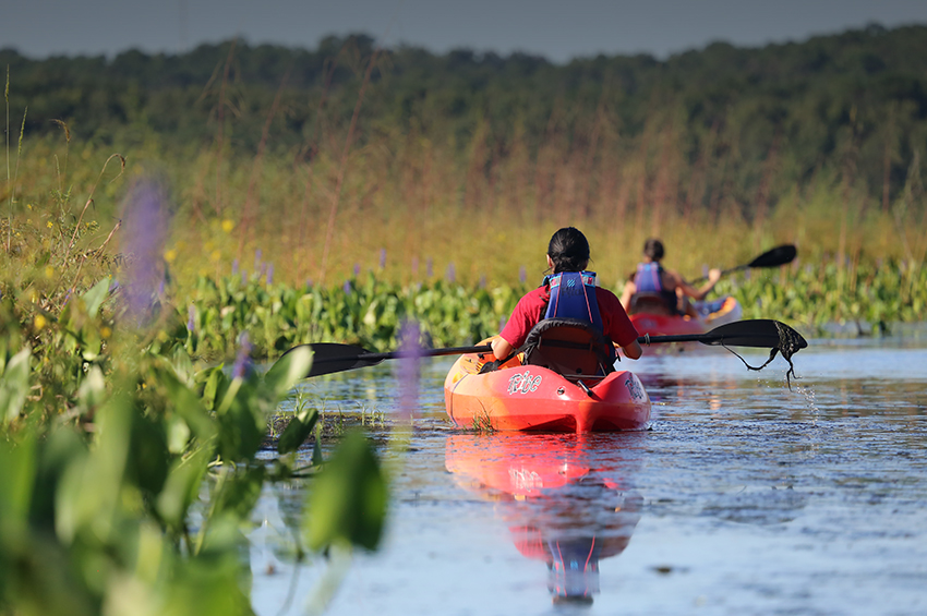 Indivaduals kayacking on Lake Jackson 